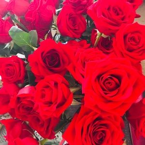 Meet your Posher, Martha